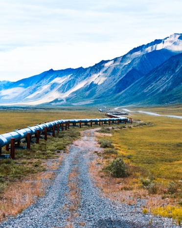 AI Intelligence for drone streams in remote operations for the protection of critical infrastructure.