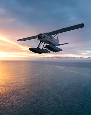 AI processing of drone video and thermal streams in remote enviroments